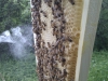 img_20120613_171951